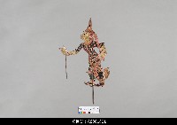 藏品(泰國小檯皮影戲偶)的圖片